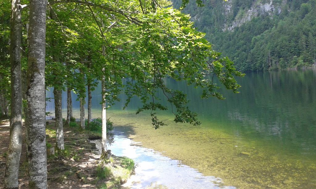 Apartment An Der Traun Bad Aussee Dış mekan fotoğraf